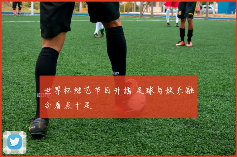 世界杯综艺节目开播 足球与娱乐融合看点十足