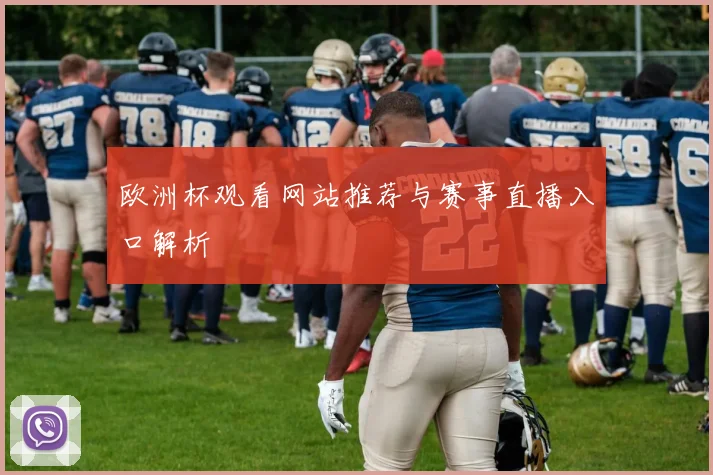欧洲杯观看网站推荐与赛事直播入口解析