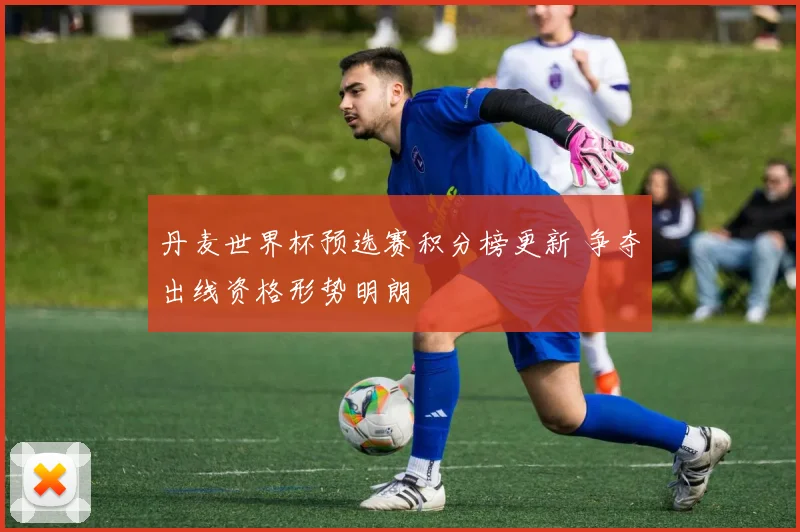 丹麦世界杯预选赛积分榜更新 争夺出线资格形势明朗