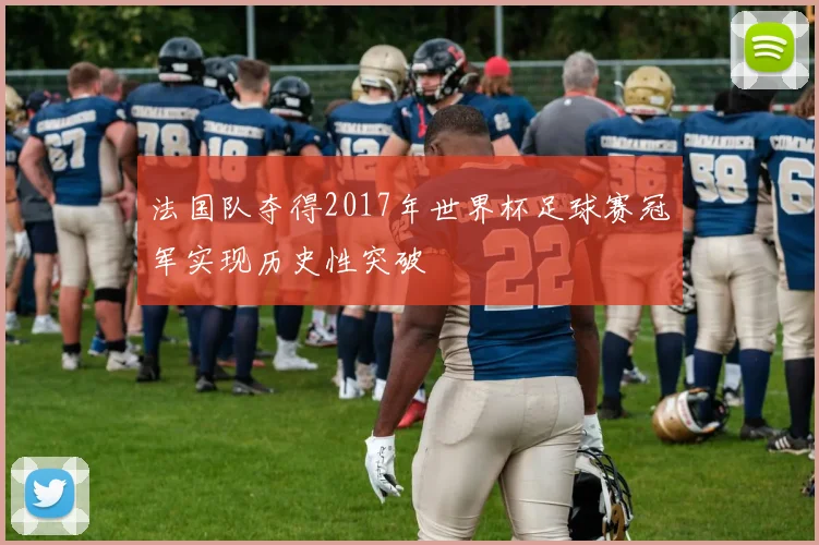 法国队夺得2017年世界杯足球赛冠军实现历史性突破