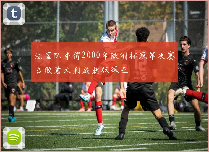 法国队夺得2000年欧洲杯冠军决赛击败意大利成就双冠王