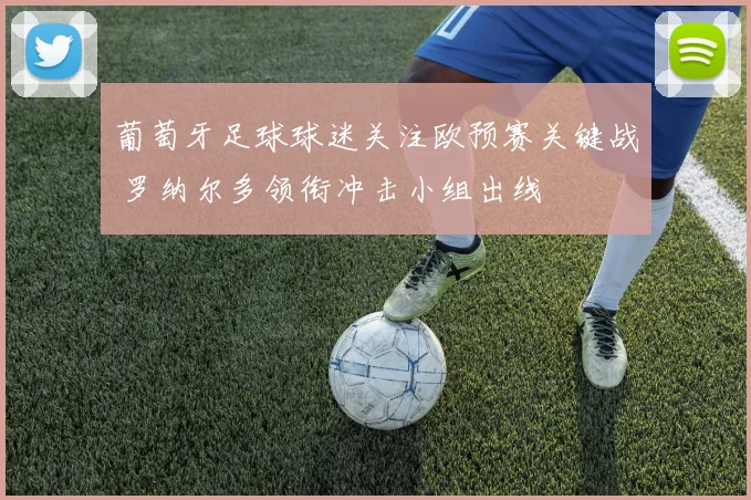 葡萄牙足球球迷关注欧预赛关键战 罗纳尔多领衔冲击小组出线