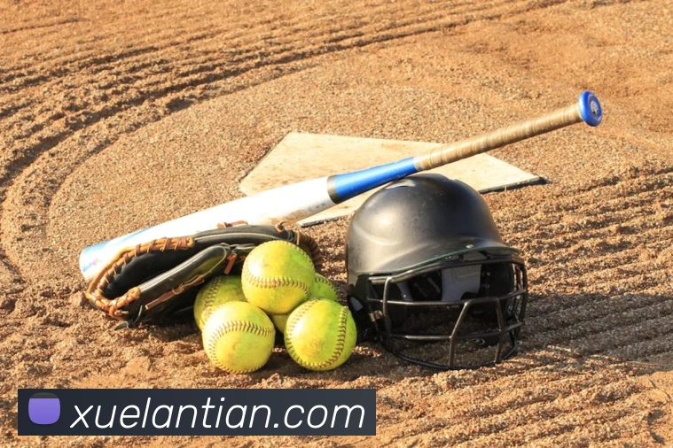 米兰体育在线登录入口服务体系