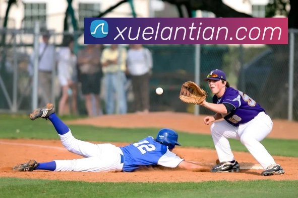 多媒体互动体验